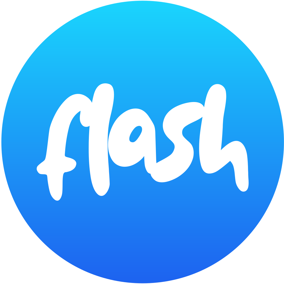 Flash Logo